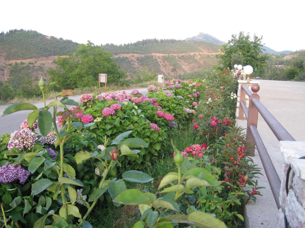 Guesthouse Moúcha 部屋 写真