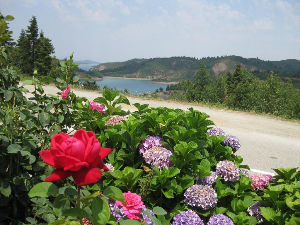 Guesthouse Moúcha 部屋 写真